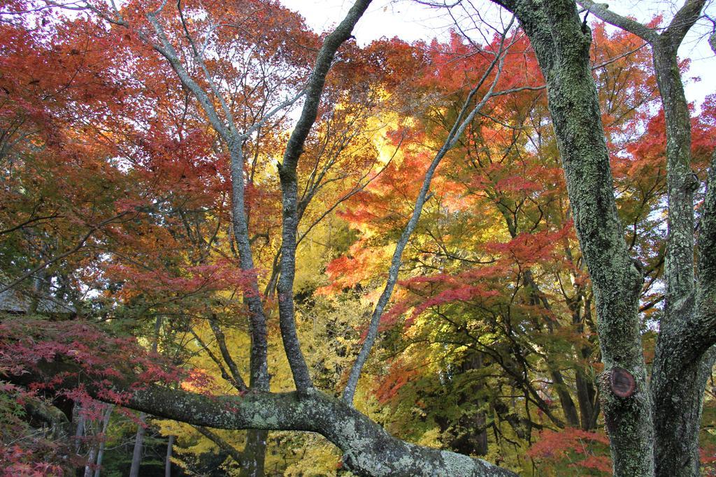 Otsu Nature Garden Akiruno Eksteriør billede