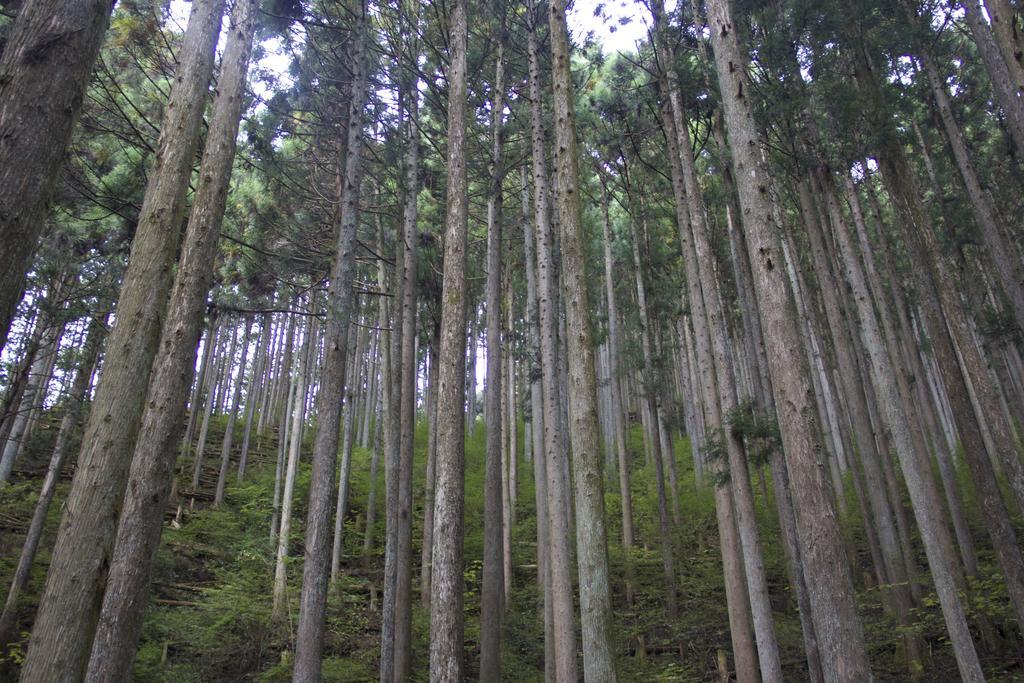 Otsu Nature Garden Akiruno Eksteriør billede